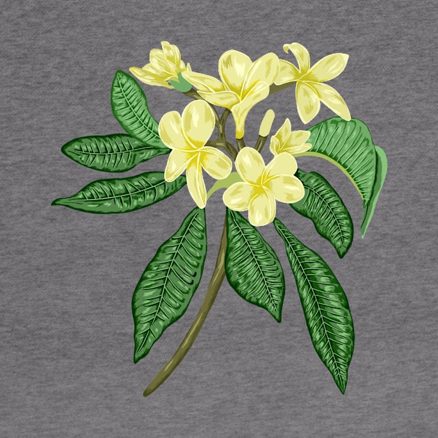 Frangipani Botanical by Salfiart